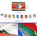 54 African Countries String Flag, 65 ft International Flags Bunting Banner, Africa Countries Flag Banner Decoration for School, Sports Events, Grand Opening, Party