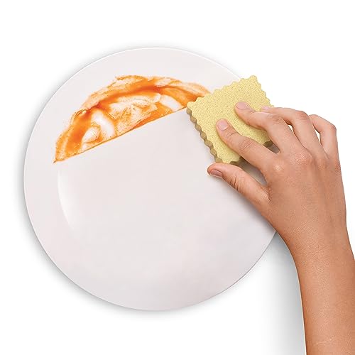 Genuine Fred SPONGIOLI, Compressed Kitchen Sponges, Set of 6 by Genuine Fred - Image 3