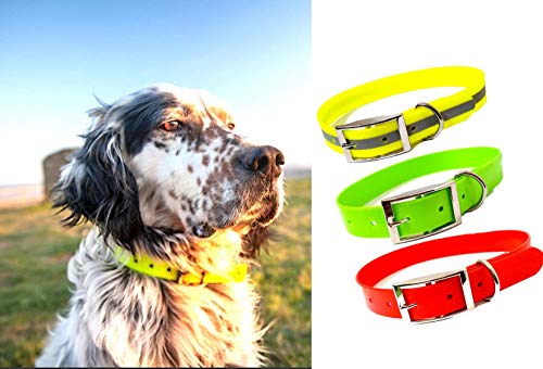 Collare biothane per Cane da Caccia Alta visibilità collari Taglia Piccola Media Grande (Giallo Catarifrangente)