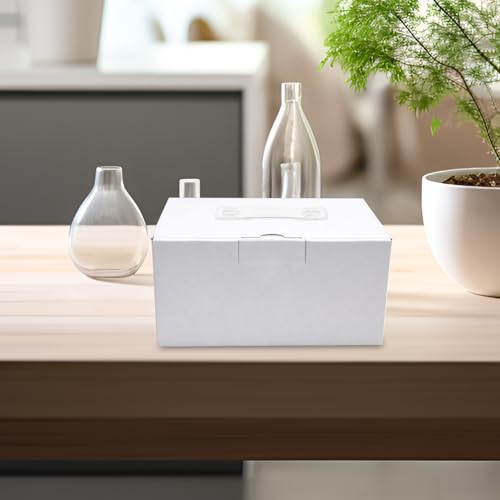 Poignées de boîte carton au design élégant et structure renforcée