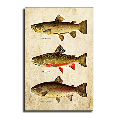 Ifunew Retro Trout Fly Fishing Poster Decorative Painting Canvas Wall Art Living Room Posters Bedroom Painting 16X24Inch(40X60Cm) #TOP4