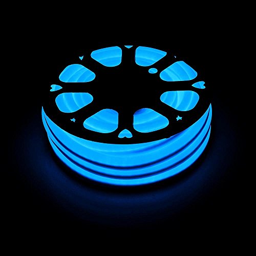330FT 110V Flexible LED Dimmable Neon Flex Rope Light for Indoor Outdoor Holiday Party Building Exterior Decoration & Commercial Lighting,Accessories Included (Blue)
