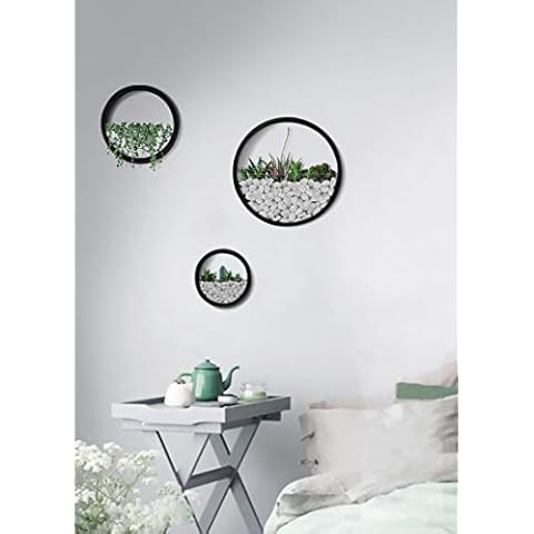 set of 3 Metal Wall Planters,2 in 1 Terrarium & Iron Round Hanging Wall Vase Planter Air Plant Holder Wall Mounted Glass Container Planting Succulent Cactus Greenery for Indoor Decor Home Supplies Cover