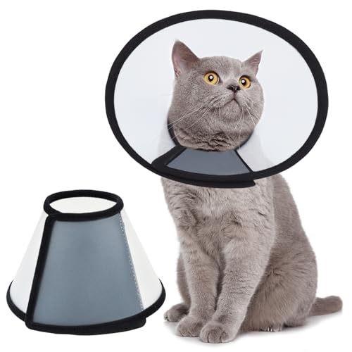 Vivifying Recovery Pet Cone