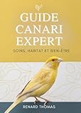  Guide Canari Expert: Soins, Habitat Et Bien-Être