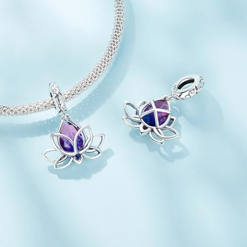 VOROCO Charm 925 Sterling Silver Bracelet Necklace Pendant Bead Charms Jewelry Gift for Women Mother Daughter Grandma Family Friends2