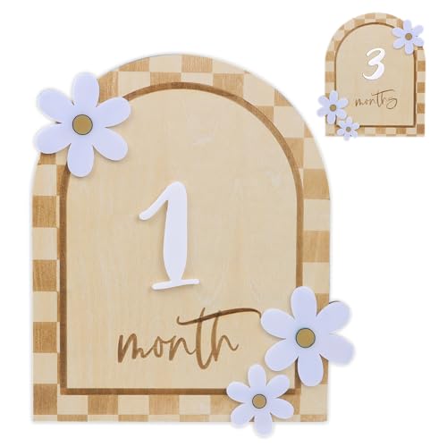 Baby Monthly Milestone, Wooden Baby Milestone Signs, Monthly Milestone Wood Discs, Baby Milestone Discs, Baby Photo Props Cards Interchangeable Number Set of 12 for Baby Growth Recording (Caro Card)