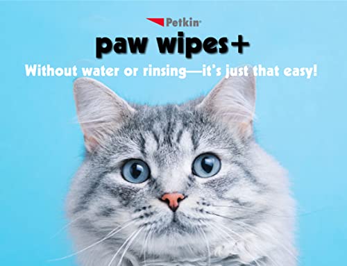 Petkin Paw Wipes Plus, 100 Orange Scented Wipes - Absorbent Pet Paw Wipes Remove Daily Dirt & Odors - Enriched With Paw Balm Protectant - Easy To Use Pet Wipes For Dogs, Cats, Puppies & Kittens #TOP3