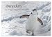 Produktbild Antarktis, die eisige Heimat der Pinguine (Wandkalender 2025 DIN A2 quer), CALVENDO Monatskalender: Ein kleiner Einblick in die bezaubernde, eisige Natur am südlichen Ende der Welt. (CALVENDO Natur)