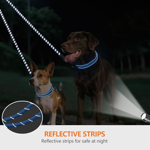 Taglory Doppelte Leinen/Hundeleine Doppelleine für 2 Hunde/Keine Verwicklung Reflektierend Kletterseil/Verstellbar Splitterleinen/75cm, BLAU