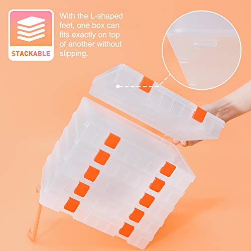 SOMELINE® Organizer,Box assortimento,Contenitore