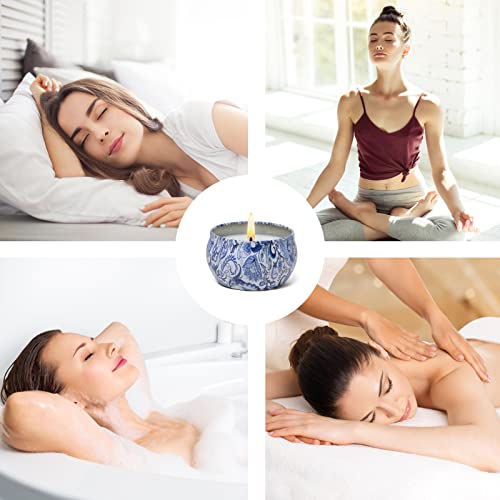 Agol 2 Pack Scented Candles, 2.5 Oz Aromatherapy Candles For Home Scented, Natural Soy Candles With Floral Scents, Portable Small Jar Candle Set For Travel, Spa, Bath, Yoga, Home Decor Tin Candle Pack #TOP5