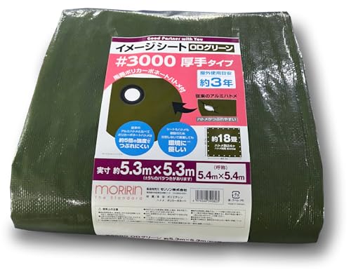  ODV[g W[V[g #3000 5.4×5.4m  Ogpڈ3N J悯 悯 ς ng 30O5454