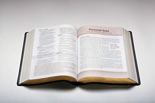 Every Man's Bible: New Living Translation, Deluxe Explorer Edition (Leatherlike, Brown) – Study Bible For Men With Study Notes, Book Introductions, And 44 Charts #TOP7