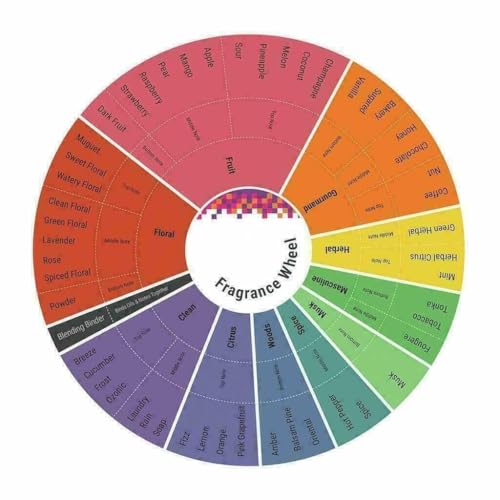 Black Musk by Abu Adam, 1 tola (12 ml) glass bottle. Concentrated Perfume Oil, Natural Attar, Alcohol-Free.