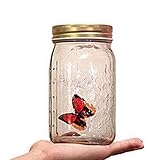 Butterfly in a Jar, Glass Animated Butterfly In A Jar With LED Light Gift Decoration (Red)