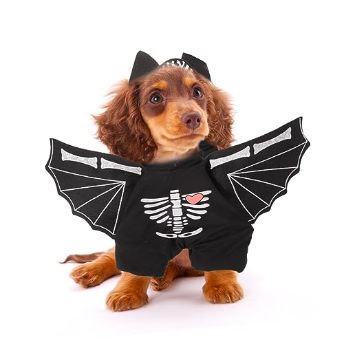 Disfraz de murciélago para perro Halloween miniatura 5