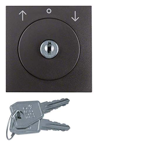 Pièce centrale pour clé de store Berker 1081160600 enjoliveur gris anthracite