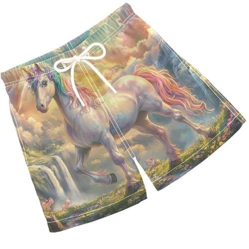 Pigsaly Boys Swim Trunks Unicorn Rainbow Blue Sky Boys Board Shorts Swimsuit Swimwear Summer Bathing Suit 2T