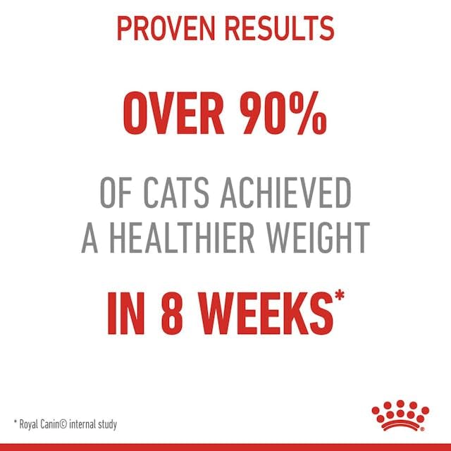 Royal Canin Light Weight Care in Gelee | 12 x 85 g | Nassfutter für Katzen | Zur Unterstützung für übergewichtige Katzen | Enthält Eisen, Mangan und Zink