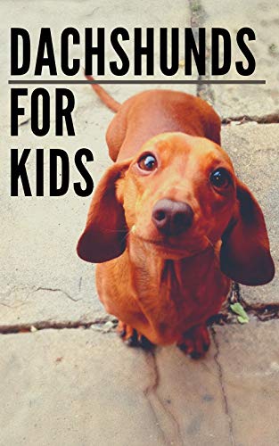 dachshund kids