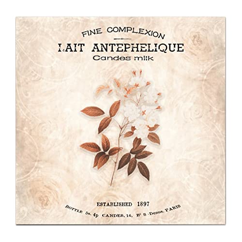 Imagen de Electroforesis Aparato De Electroforesis Vertical Simple DYCZ-22A