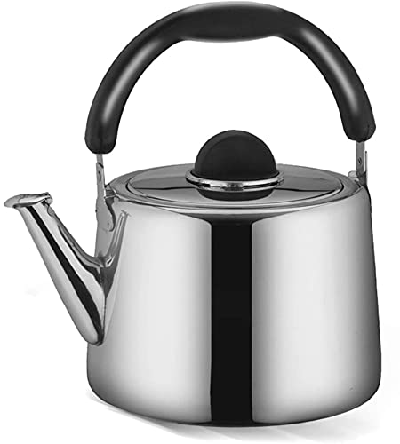 Teiera lucida in acciaio inossidabile con