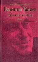 Meine Diamantenkrone: Autobiographischer Roman 5699332626 Book Cover