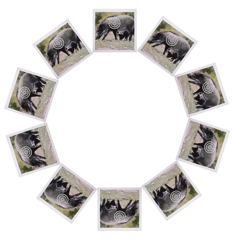 ERINGOGO 50�C�m�V�V�W�I�� 40×40cm �����̎ˌ��^�[�Q�b�g �A�[�`�F���[�p���A���Ȗ쐶���� ��^�[�Q�b�g �y�ʃN���A�ȃX�R�A�����O�����O�t�� �����A�[�`�F���[���K �Ƒ����N���G�[�V�����ɍœK