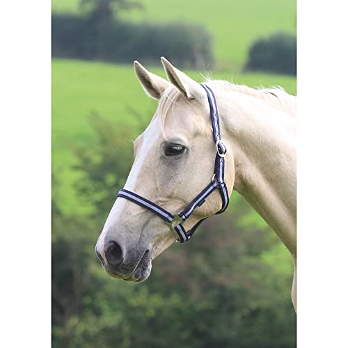 Shires WESSEX - Caballo de nailon
