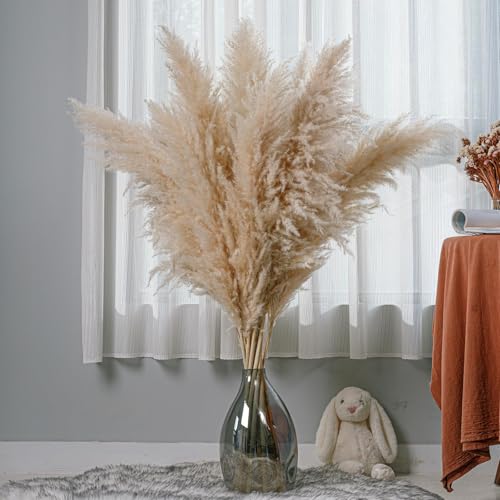 Pampas Grass grande natural 10 piezas 60 cm miniatura 2