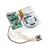 AYWHP USB Soundmodul Musik Sprachaufzeichnungsmodul mit Lautsprecher MP3 USB Kabel Aufladbarer Akku, Top Lautsprecher für DIY Karten, Geschenke, Spielwaren, selbst gestalten