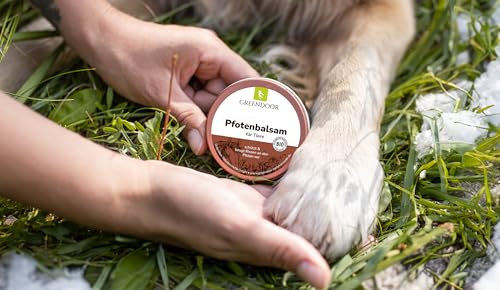 GREENDOOR natürlicher Bio Pfotenbalsam für weiche Pfoten 50ml, vegane Pfotenpflege beugt Rissen vor, schützt vor Umwelteinflüssen, bei Hitze Kälte Nässe Schnee (Pfotenbalsam 50ml)