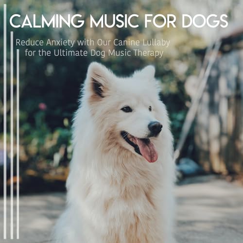 Dog Music Therapy