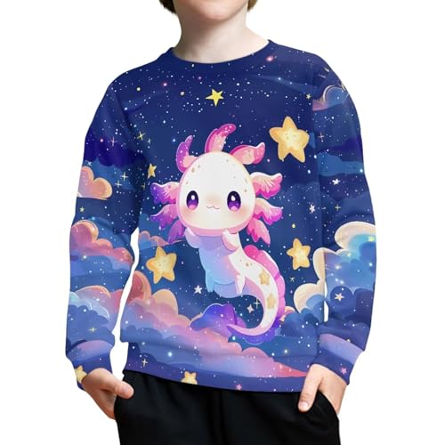 Yuuxorilu Unisex Kids Sweatshirt Long Sleeve Casual Crewneck Pullover Fall Tops2
