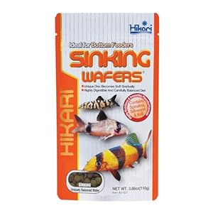 Hikari Tropical Sinking Wafers for Catfish, Loaches and Bottom Feeders 3.88 oz