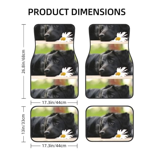 Alfombrillas de Labrador Negro para coche solución contra resbalones y suelo sucio 2