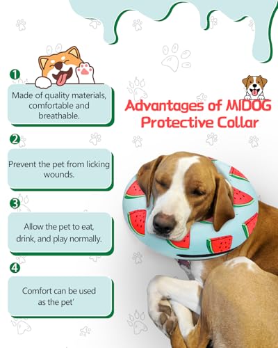 Image of MIDOG Inflatable Dog Cone Alternative for After Surgery - Soft Protective Donut Collar Prevents Licking, Comfortable Recovery E-Collar Alternative for Small Medium Large Dogs (Watermelon,S)