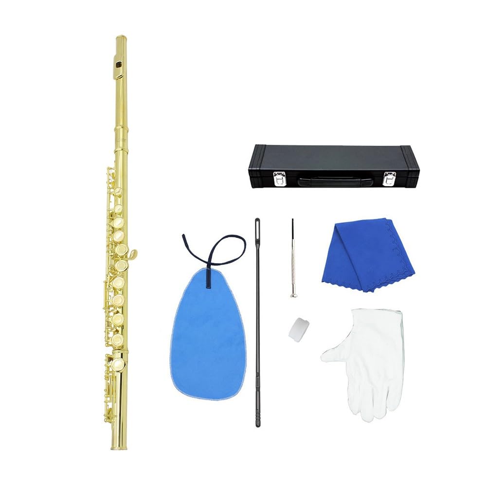 Flûte à clé C à 16 trous, flûte de Concert plaquée argent avec clé E, Instrument à vent avec boîte, chiffon de nettoyage, gants de bâton
