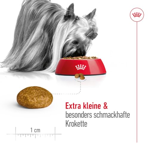 ROYAL CANIN X-SMALL Adult Trockennahrung für Hunde – 0.5 kg – Ansicht 4