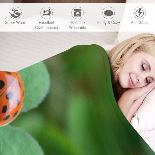 Couverture plaid chaude confortable flannel molleton toute saison - 4