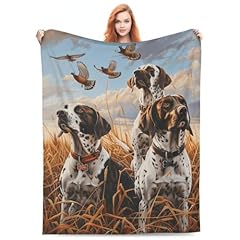 German Shorthaired Pointer