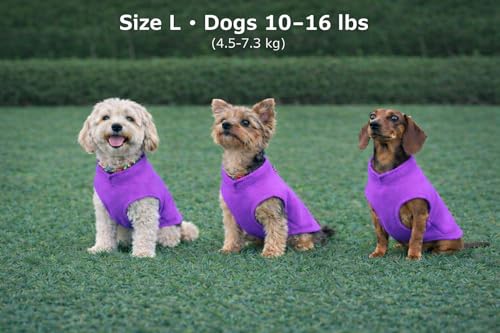 Image of JACKO & CO - Fleece Vest Dog Sweater with Leash Ring - Soft, Warm & Lightweight Pullover Coat for Small & Medium Dogs, Puppies & Cats - Cozy Fall /Winter /Spring Pet Jacket (Purple, Large 10-16lbs)