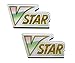 Pokemon X2 Official Acrylic VSTAR Marker Counter Token