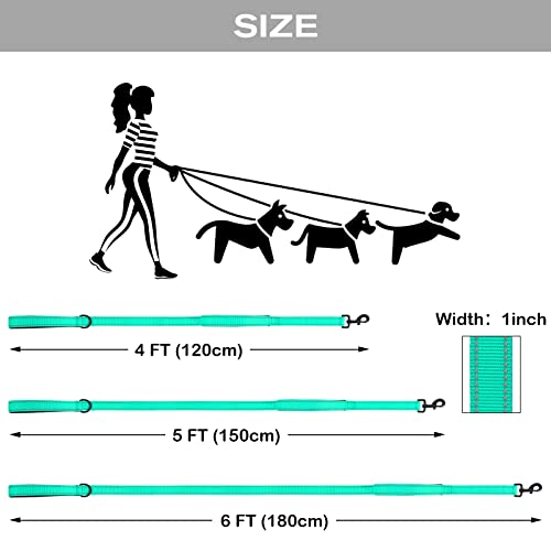 Joytale Double Handle Dog Leash, Double-Sided Reflective Dog Leashes For Night Safety, Heavy Duty Leash For Large And Extra Large And Medium Breed Dogs Outside Walking,6Ft,Teal #TOP5