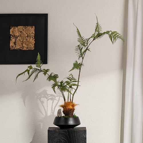 HGJH tFCNO[ V CeA ԃAW ԕrt   ItBX JtF J[1 X F rO Vzj JXj t[AWg ϑސF ό A  ԕr} fBXvCp