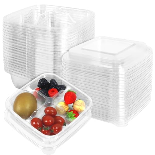ISUSSER 40 Pack Clear Bento Containers