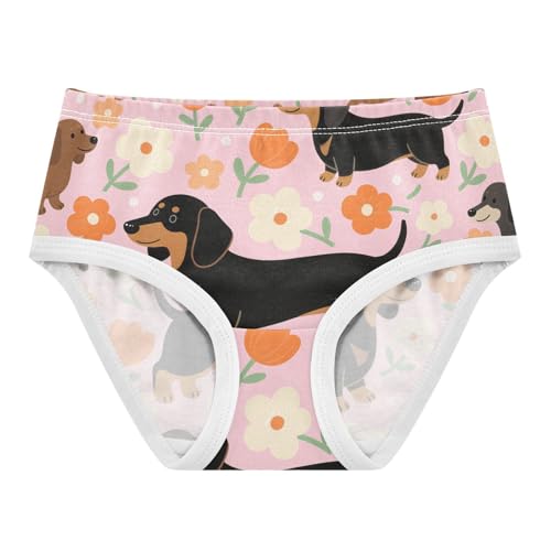 Sport Panties Daily Wear Panties Toddler Cotton Underwear for Girls in Sizes 2T,3T, 4T, 5T, 6Y and 8Y