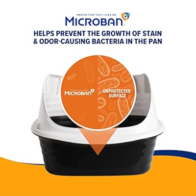 Arm & Hammer Rimmed Cat Litter Box with High Sides and Microban, Made in USA