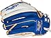 Rawlings | Liberty Advanced ColorSync Fastpitch Softball Glove | Right Hand Throw | 12.5